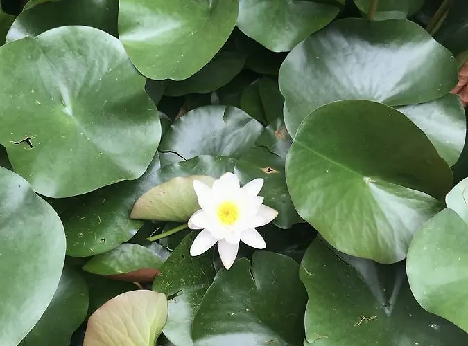 B&B Casabiancalana Boutique