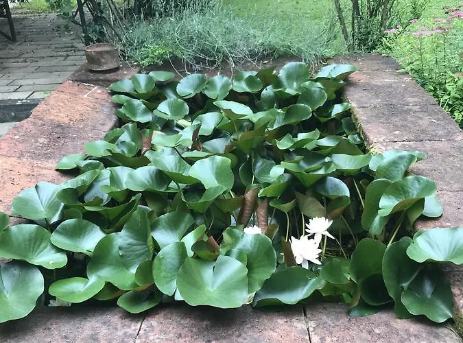 Casabiancalana Boutique B&B 4*